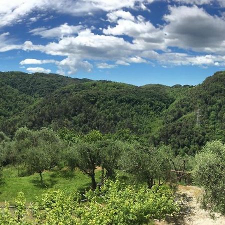 Appartamento Caddelovi Fibbialla Esterno foto