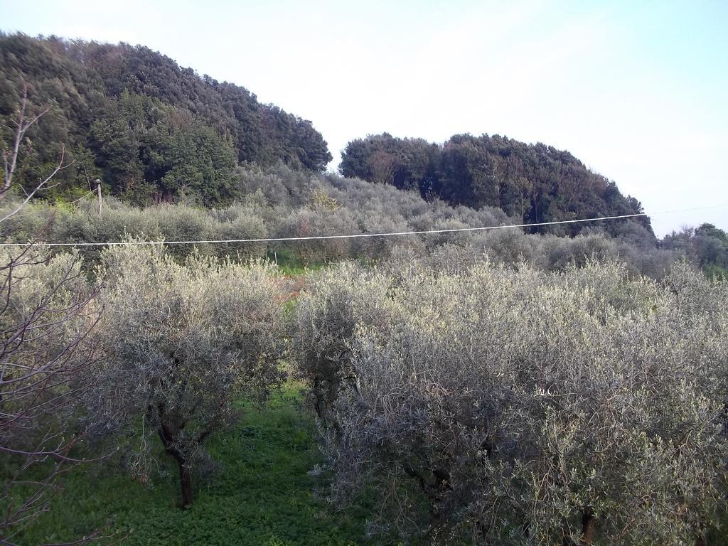 Appartamento Caddelovi Fibbialla Esterno foto